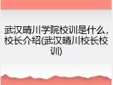 武汉晴川学院校训是什么，校长介绍(武汉晴川校长校训)