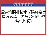 湄洲湾职业技术学院师资力量怎么样，名气如何(师资名气如何)