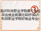 临沂科技职业学院哪个专业毕业就业前景比较好(临沂科技职业学院好就业专业)