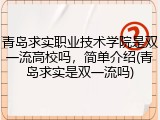 青岛求实职业技术学院是双一流高校吗，简单介绍(青岛求实是双一流吗)