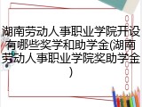 湖南劳动人事职业学院开设有哪些奖学和助学金(湖南劳动人事职业学院奖助学金)