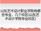 山东艺术设计职业学院有哪些专业，几个校区(山东艺术设计学院专业校区)