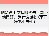 荆楚理工学院哪些专业就业前景好，为什么(荆楚理工好就业专业)