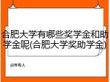 合肥大学有哪些奖学金和助学金呢(合肥大学奖助学金)