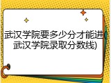 武汉学院要多少分才能进(武汉学院录取分数线)