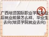广西培贤国际职业学院毕业后就业前景怎么样，毕业生去向(培贤学院就业去向)