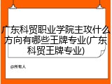 广东科贸职业学院主攻什么方向有哪些王牌专业(广东科贸王牌专业)