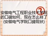 安徽电气工程职业技术学院的口碑如何，现在怎么样了(安徽电气学院口碑现状)