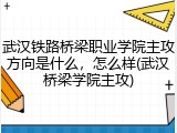 武汉铁路桥梁职业学院主攻方向是什么，怎么样(武汉桥梁学院主攻)