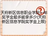 天府新区信息职业学院一年奖学金最多能拿多少(天府新区信息学院奖学金上限)