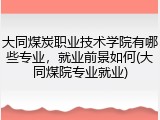 大同煤炭职业技术学院有哪些专业，就业前景如何(大同煤院专业就业)