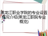 黑龙江职业学院的专业设置概况介绍(黑龙江职院专业概览)