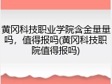 黄冈科技职业学院含金量量吗，值得报吗(黄冈科技职院值得报吗)