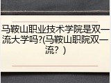 马鞍山职业技术学院是双一流大学吗?(马鞍山职院双一流？)