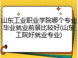 山东工业职业学院哪个专业毕业就业前景比较好(山东工院好就业专业)
