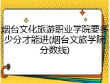 烟台文化旅游职业学院要多少分才能进(烟台文旅学院分数线)