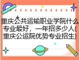 重庆公共运输职业学院什么专业最好，一年招多少人(重庆公运院优势专业招生)