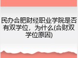 民办合肥财经职业学院是否有双学位，为什么(合财双学位原因)