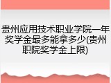 贵州应用技术职业学院一年奖学金最多能拿多少(贵州职院奖学金上限)