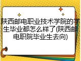 陕西邮电职业技术学院的学生毕业都怎么样了(陕西邮电职院毕业生去向)