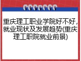 重庆理工职业学院好不好，就业现状及发展趋势(重庆理工职院就业前景)