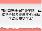 四川国际标榜职业学院一年奖学金最多能拿多少(标榜学院最高奖学金)