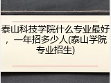 泰山科技学院什么专业最好，一年招多少人(泰山学院专业招生)
