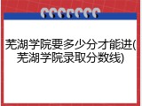 芜湖学院要多少分才能进(芜湖学院录取分数线)