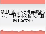 怒江职业技术学院有哪些专业，王牌专业分析(怒江职院王牌专业)
