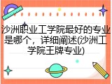 沙洲职业工学院最好的专业是哪个，详细阐述(沙洲工学院王牌专业)