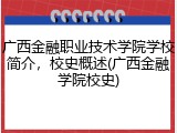 广西金融职业技术学院学校简介，校史概述(广西金融学院校史)