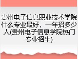 贵州电子信息职业技术学院什么专业最好，一年招多少人(贵州电子信息学院热门专业招生)