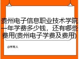 贵州电子信息职业技术学院一年学费多少钱，还有哪些费用(贵州电子学费及费用)