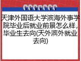 天津外国语大学滨海外事学院毕业后就业前景怎么样，毕业生去向(天外滨外就业去向)
