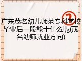 广东茂名幼儿师范专科学校毕业后一般能干什么呢(茂名幼师就业方向)