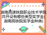 湖南高速铁路职业技术学院共开设有哪些类型奖学金(湖南高铁院奖学金种类)