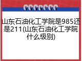 山东石油化工学院是985还是211(山东石油化工学院什么级别)