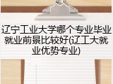 辽宁工业大学哪个专业毕业就业前景比较好(辽工大就业优势专业)