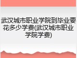 武汉城市职业学院到毕业要花多少学费(武汉城市职业学院学费)