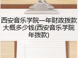 西安音乐学院一年财政拨款大概多少钱(西安音乐学院年拨款)