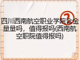 四川西南航空职业学院含金量量吗，值得报吗(西南航空职院值得报吗)
