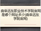 曲阜远东职业技术学院官网是哪个网址多少(曲阜远东学院官网)