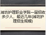 潍坊护理职业学院一届招收多少人，最近几年(潍坊护理招生规模)