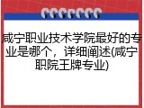 咸宁职业技术学院最好的专业是哪个，详细阐述(咸宁职院王牌专业)