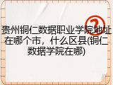 贵州铜仁数据职业学院地址在哪个市，什么区县(铜仁数据学院在哪)