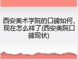 西安美术学院的口碑如何，现在怎么样了(西安美院口碑现状)