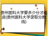 贵州医科大学要多少分才能进(贵州医科大学录取分数线)