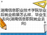 湖南信息职业技术学院毕业后就业前景怎么样，毕业生去向(湖南信息职院就业去向)
