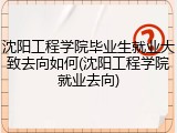 沈阳工程学院毕业生就业大致去向如何(沈阳工程学院就业去向)
