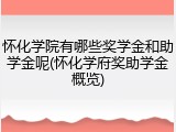 怀化学院有哪些奖学金和助学金呢(怀化学府奖助学金概览)